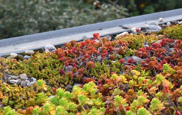 the cost of Sound green roof installation